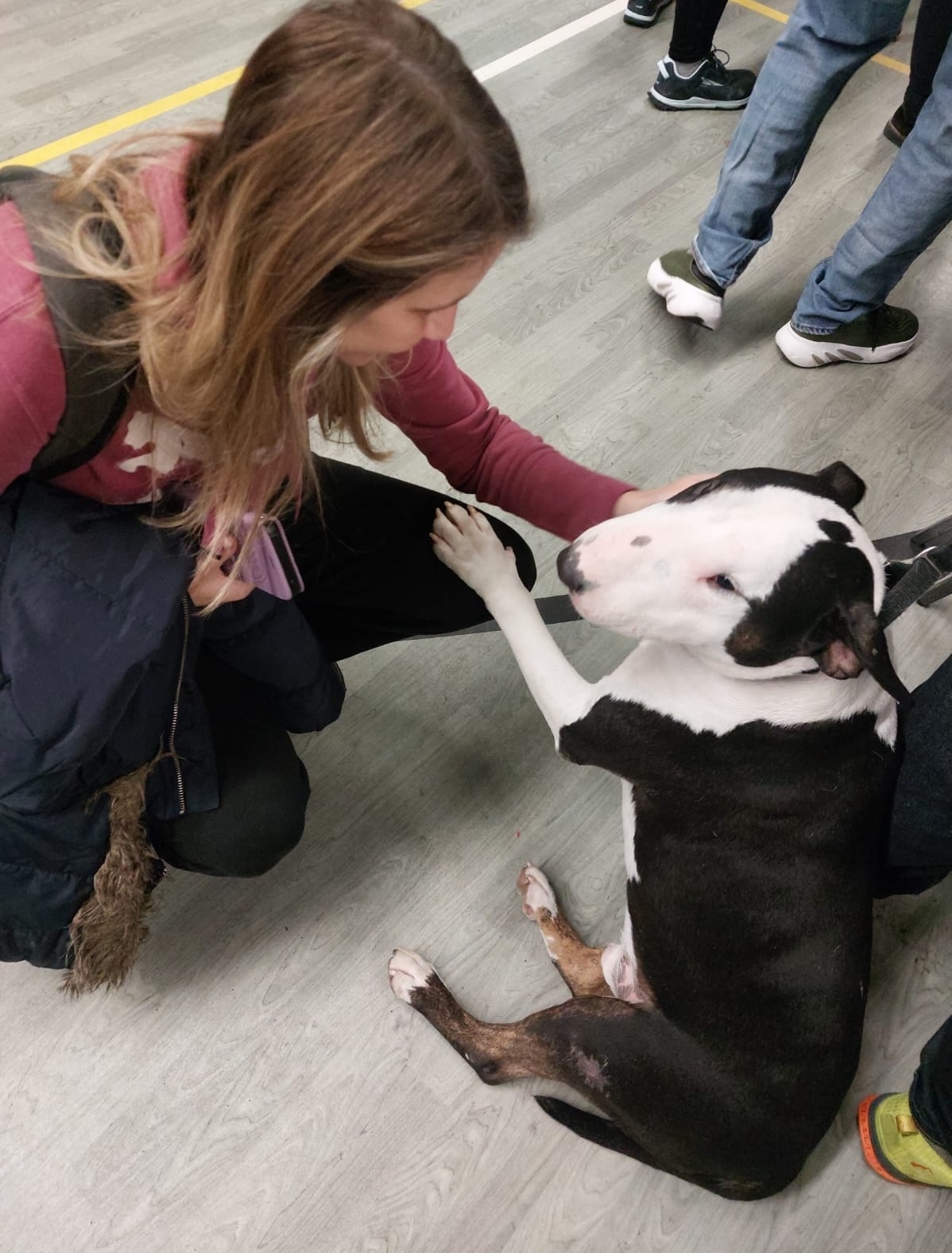 2024-11-20 u 08.21.39_c7688657